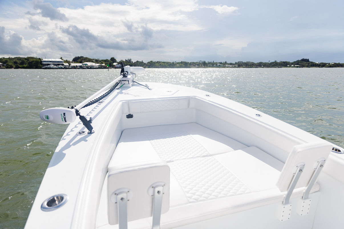 Andros Tarpon 26